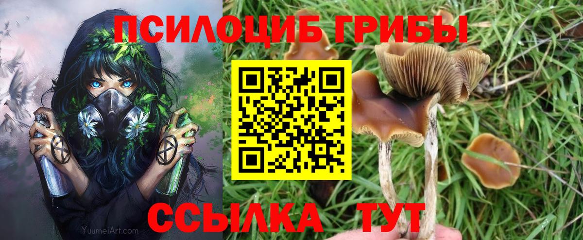 Ставрополь  Псилоцибиновые грибы ЛСД  Вход с VPN 