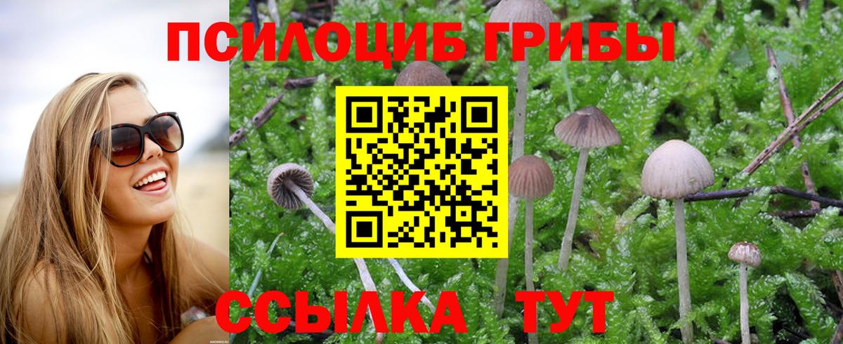 Галлюциногенные грибы мицелий Ставрополь